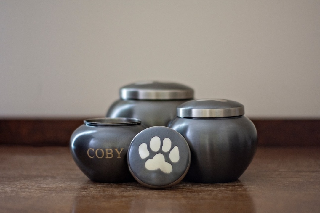 pet cremation vs burial