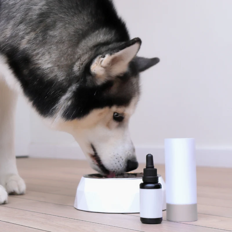 best hypoallergenic food for senior dogs