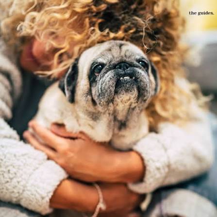 Woman hugging a senior pug dog closely